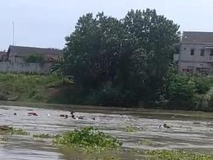 Jeritan Histeris Penumpang Saat Perahu Tambang di Bengawan Solo Tenggelam Jeritan Histeris Penumpang Saat Perahu Tambang di Bengawan Solo Tenggelam