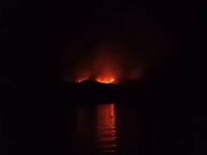 Bupati Manggarai Barat: 10 Hektar Pulau Rinca Terbakar, Komodo Aman Bupati Manggarai Barat: 10 Hektar Pulau Rinca Terbakar, Komodo Aman