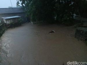Hujan Lebat di Lamongan, Sejumlah Dusun Banjir Akibat Luapan Sungai