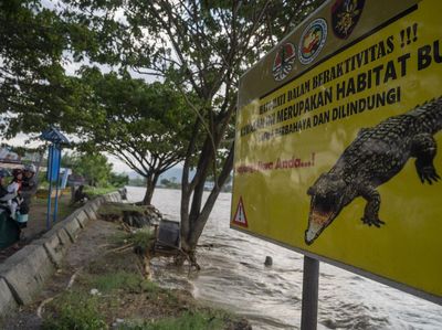 Gegara Buaya, Pantai Wisata di Teluk Palu Sepi