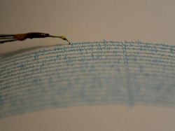 Gempa M 7,4 di NTT, Warga Flores Timur Panik Berhamburan ke Luar Rumah