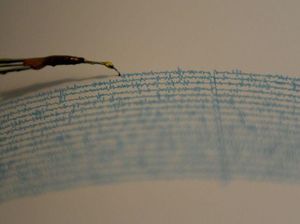 Gempa Maluku Hari Ini, Berikut Info Terbarunya Gempa Maluku Hari Ini, Berikut Info Terbarunya
