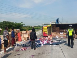 Sopir Ngantuk, Truk Muat Buah Naga Terguling di Tol Gempol-Pasuruan