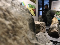 Hari Museum Internasional 2023: Sejarah dan Link Twibbon