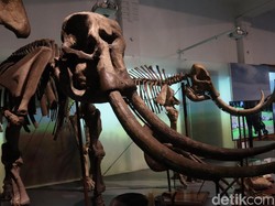 5 Museum di Bandung yang Instagramable dan Kekinian