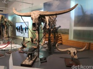 21 Museum di Bandung, Waktu Operasional dan Harga Tiket 21 Museum di Bandung, Waktu Operasional dan Harga Tiket