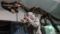 Museum Geologi Bandung Sudah Buka Lagi Lho Gaes