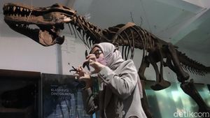 Museum Geologi Bandung Sudah Buka Lagi Lho Gaes