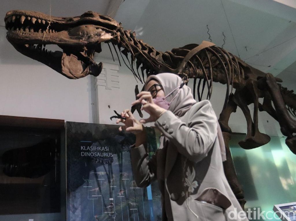 Museum Geologi Bandung Sudah Buka Lagi Lho Gaes