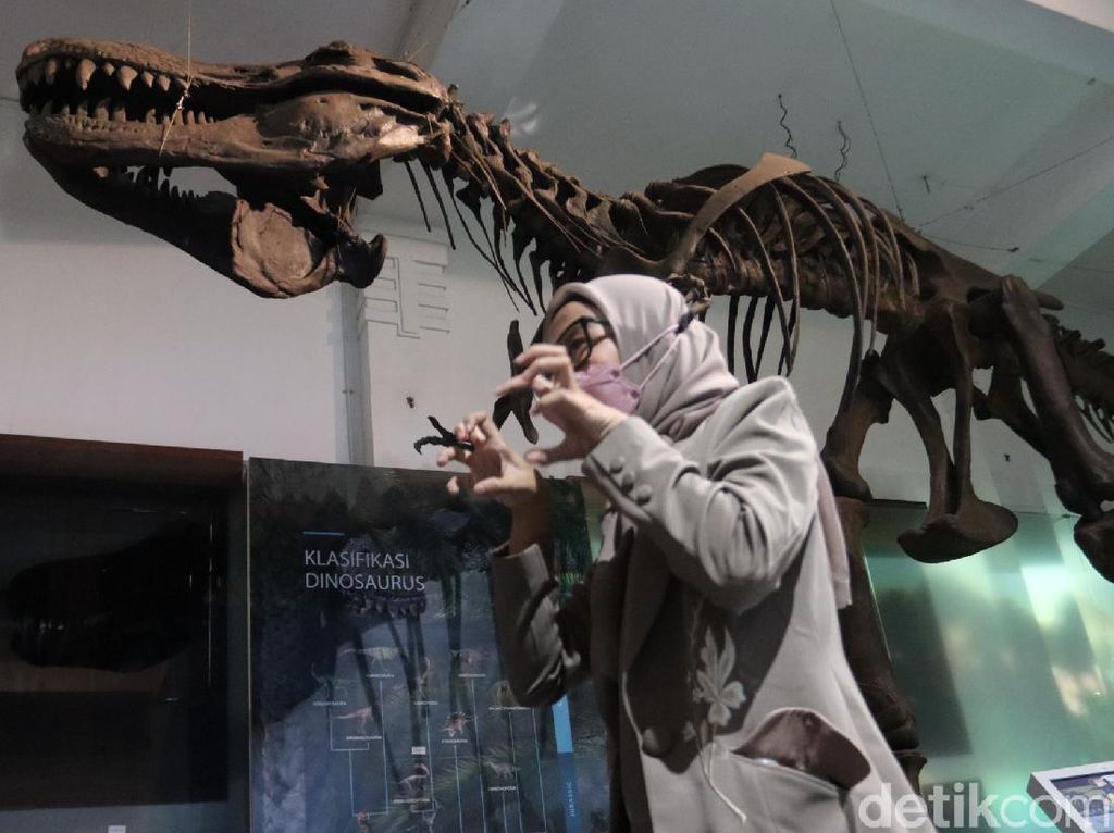 Museum Geologi Bandung Sudah Buka Lagi Lho Gaes Museum Geologi Bandung Sudah Buka Lagi Lho Gaes