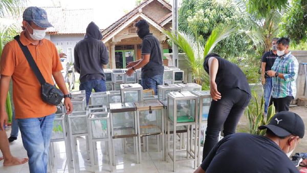 Ratusan Kotak Amal untuk Danai Teroris Disita Densus 88