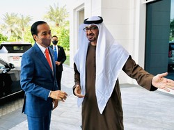 Sederet Agenda Jokowi-Presiden UEA Saat Peresmian Masjid Sheikh Zayed