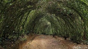 Potret Wisata Bakukung Bogor, Banyak Spot Instagramable ya!