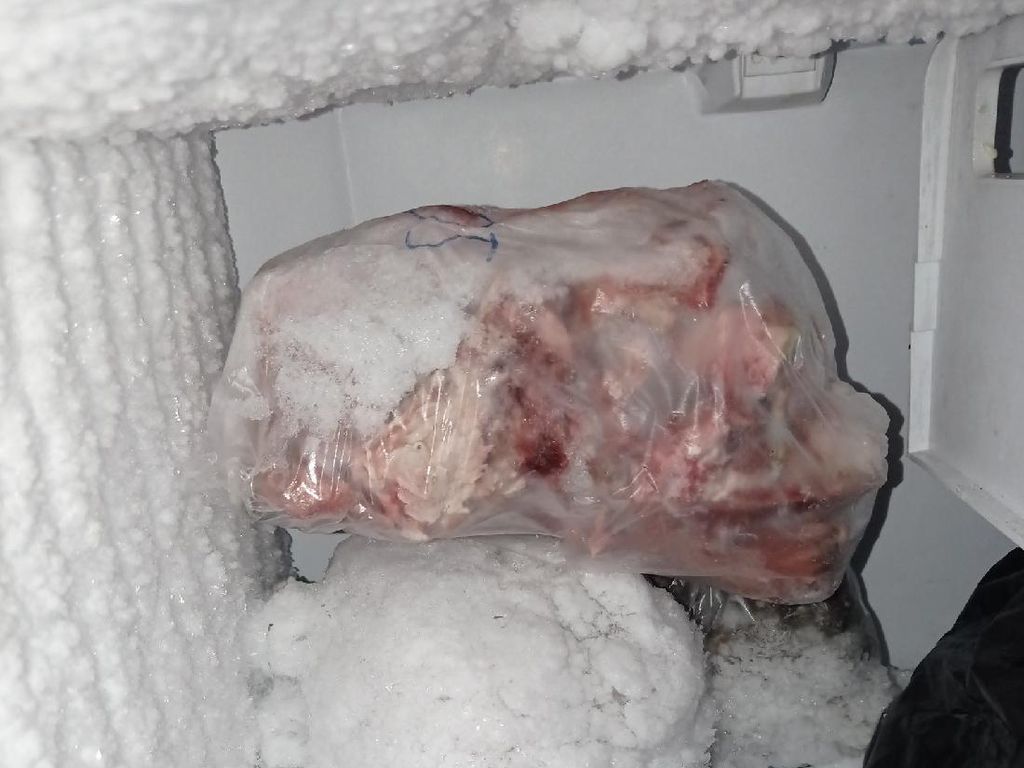 Ibu Ini Masih Simpan Daging Kurban Untuk Anaknya Tinggal di Kost Ibu Ini Masih Simpan Daging Kurban Untuk Anaknya Tinggal di Kost