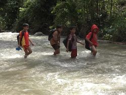 Banjir-Jembatan Ambruk, Siswa SD di Sulbar Bertaruh Nyawa Seberangi Sungai