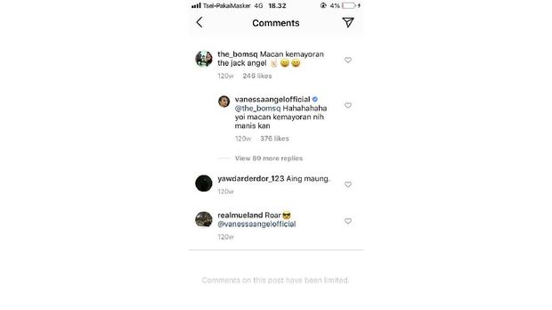 Vanessa Angel Pendukung Persija