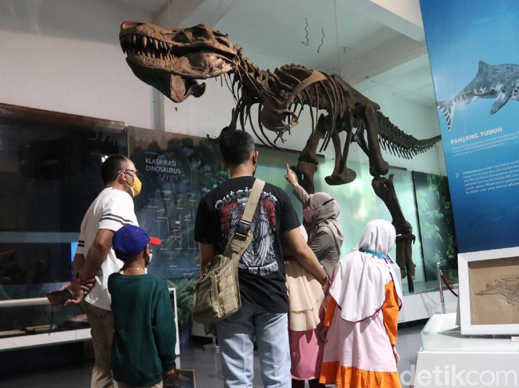 Museum Geologi Sudah Buka Lagi, Yuk Berwisata Sejarah!