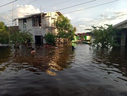 Kalbar Dilanda Banjir, Gubernur Ungkap Stok Pangan Pengungsi Cukup 15 Hari