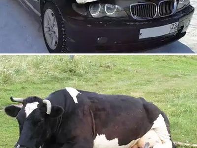 Aneka Foto Hoax yang Sempat Viral di Dunia