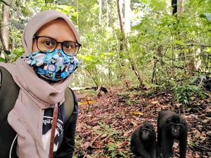 Viral Nunggu Monyet Bersuara Dua Jam demi Riset S2, Bagaimana Faktanya? Viral Nunggu Monyet Bersuara Dua Jam demi Riset S2, Bagaimana Faktanya?