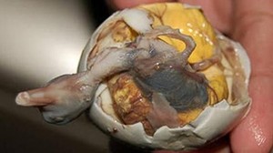Hii! 10 Makanan Eksotis dari Seluruh Dunia, Ada Otak Monyet hingga Balut