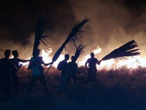 Masih Diusut, Ini Dugaan Awal Sebab Kebakaran Pulau Rinca Habitat Komodo Masih Diusut, Ini Dugaan Awal Sebab Kebakaran Pulau Rinca Habitat Komodo