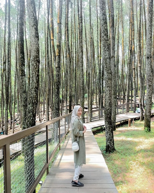Hutan Pinus Mangunan menjadi salah satu destinasi indah yang murah meriah di Jogja.