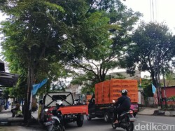 Musim Hujan, Pemkab Garut Antisipasi Pohon Tumbang