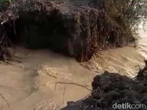 Hujan Deras di Lamongan Jebol Tanggul di 3 Desa Hujan Deras di Lamongan Jebol Tanggul di 3 Desa