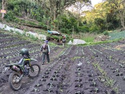 Hutan Jadi Lahan Sayur Diduga Jadi Penyebab Utama Banjir Bandang di Kota Batu