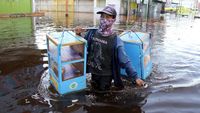 Banjir Rob Terjang Dumai