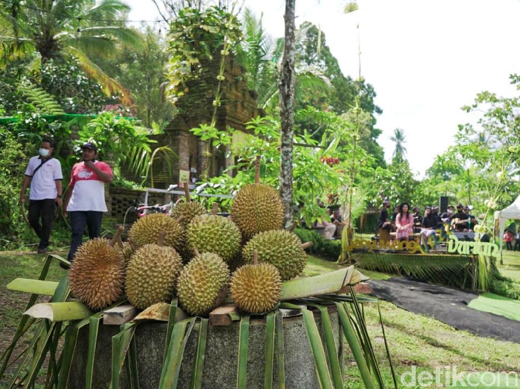 Banyuwangi Hadirkan Pagelaran Jazz di Belantara Lahan Durian