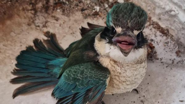 Deretan Foto Benda di Alam Bikin Mata Tercengang