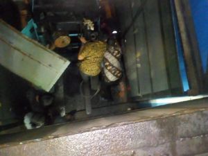 Lift Jatuh di Pelelangan Ikan Muara Angke, Operator Forklift Terjepit Lift Jatuh di Pelelangan Ikan Muara Angke, Operator Forklift Terjepit