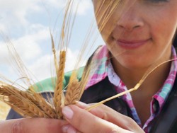 PBB: Harga Pangan Dunia Cetak Rekor Tertinggi dalam 10 Tahun Terakhir