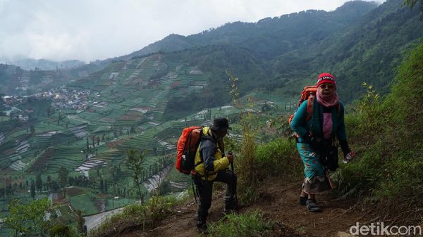 Suasana Gunung Prau Usai Dibuka Kembali