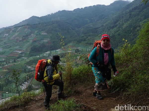 Suasana Gunung Prau Usai Dibuka Kembali