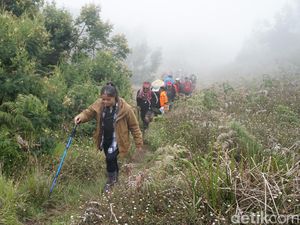 Dihantam Badai, Puluhan Pendaki Gunung Prau Diselamatkan Tim SAR
