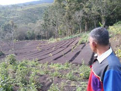 600 Hektare Hutan di Kota Batu Beralih Fungsi