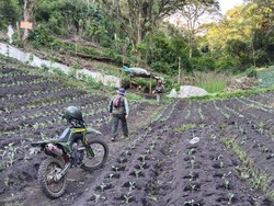 Ini Rekomendasi BNPB Cegah Banjir Bandang Susulan di Kota Batu