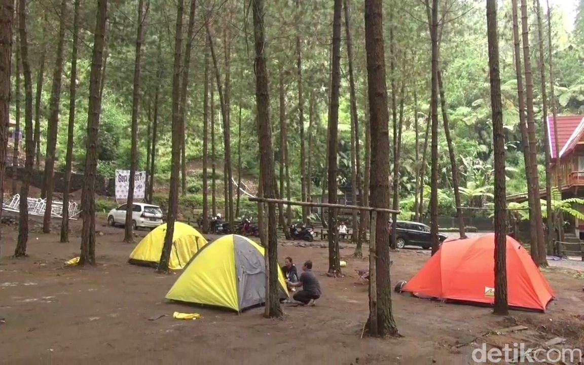 Kemping Asyik di Guci Forest
