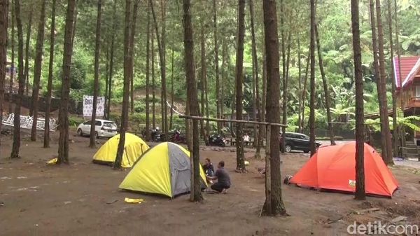 Foto: Tempat Kemping Berhawa Sejuk di Kaki Gunung Slamet