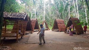 Uniknya, Laboratorium Bambu di Tengah Hutan Polewali Mandar