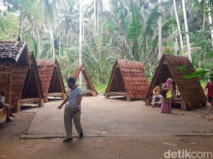 Cuma di Polewali, Ada Laboratorium Bambu di Tengan Hutan!
