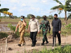Gubernur Kalteng Kebut Persiapan Infrastruktur Penunjang Food Estate