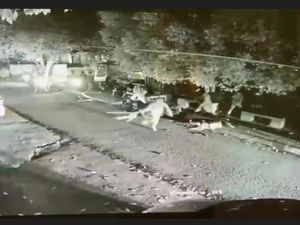 Lima Driver Ojol Diserang Sekelompok Orang di Bandung