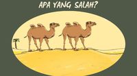 Tebak Keanehan di Gambar Ini, Bisa Ketemu Berarti Logika Kamu Jalan