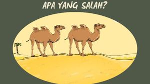 Tebak Keanehan di Gambar Ini, Bisa Ketemu Berarti Logika Kamu Jalan