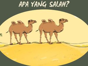 Tebak Keanehan di Gambar Ini, Bisa Ketemu Berarti Logika Kamu Jalan