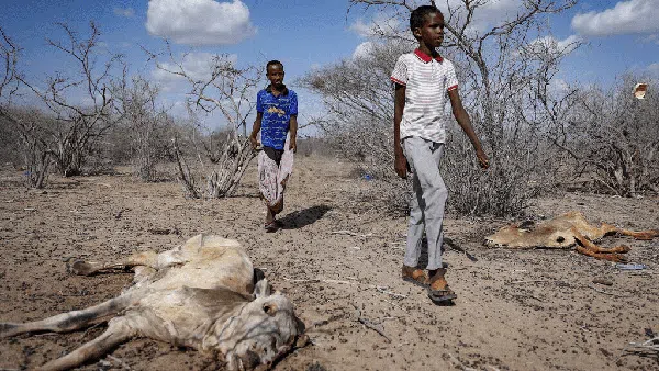 Kekeringan di Kenya Lebih Ngeri dari Pandemi COVID-19